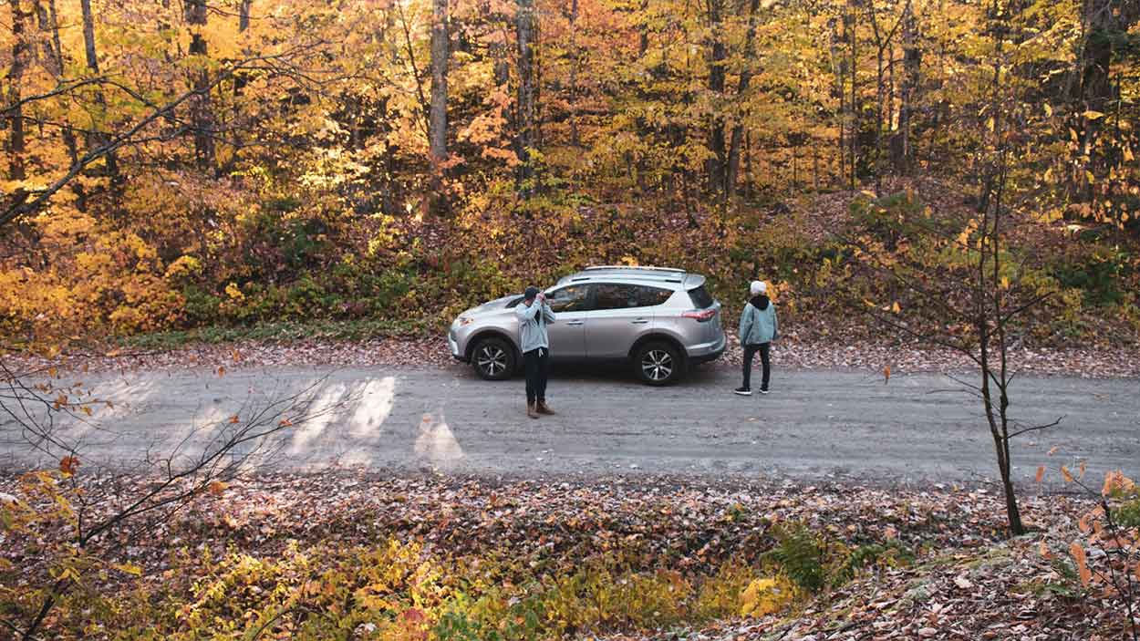Muskoka-Airport-Taxi-Things-to-do
