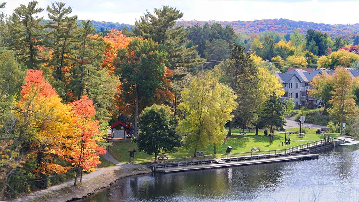 Bracebridge - Limo Service - Blog Images